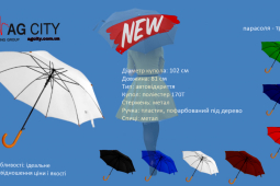 Фирменный зонт AG City