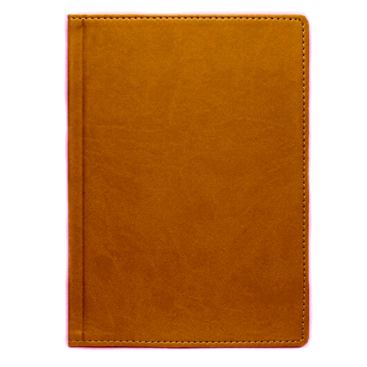 Щоденник А5 2024 ПРІНТ недатований, б/б