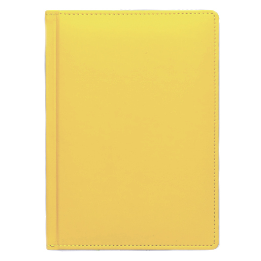 Щоденник А5 2024 СОФТ недатований, к/б