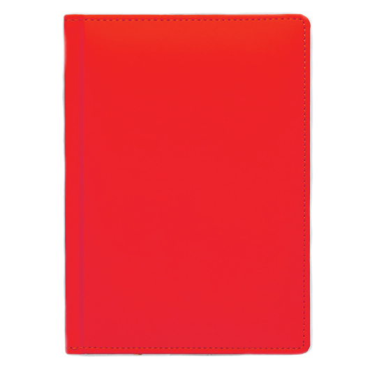 Щоденник А5 2024 СОФТ недатований, к/б