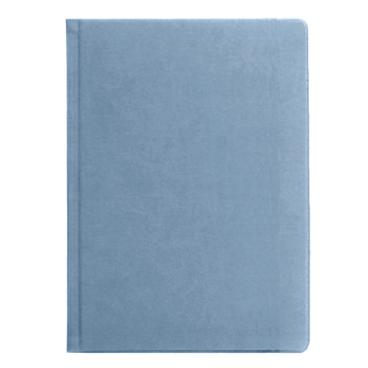 Щоденник А5 2024 АСТРА недатований, к/б