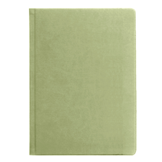 Щоденник А5 2024 АСТРА недатований, к/б