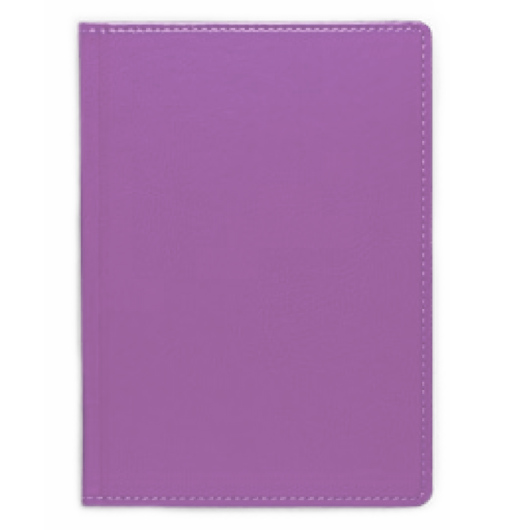 Щоденник А5 2024 НЕБРАСКА недатований, б/б