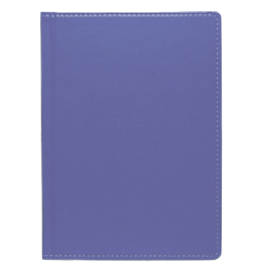 Щоденник А5 2024 НЕБРАСКА недатований, к/б