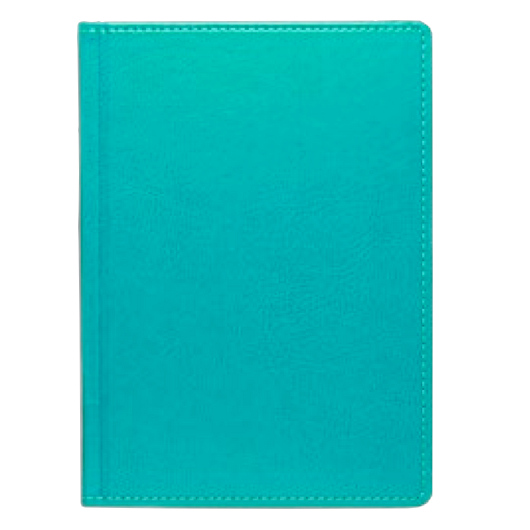 Щоденник А5 2024 НЕБРАСКА недатований, к/б