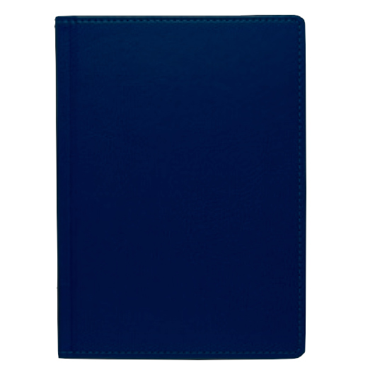 Щоденник А5 2024 НЕБРАСКА недатований, к/б