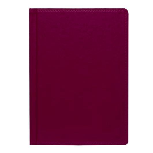 Щоденник А5 2024 ЕМПАЙР недатований, б/б