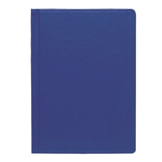 Щоденник А5 2024 ЕМПАЙР недатований, б/б