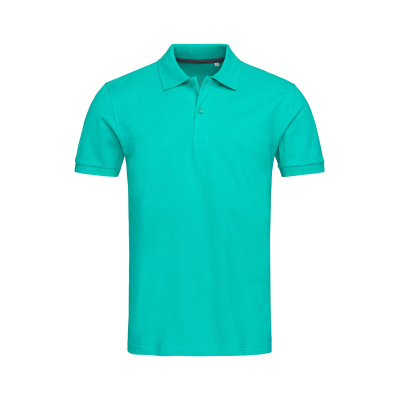Henry (Polo)